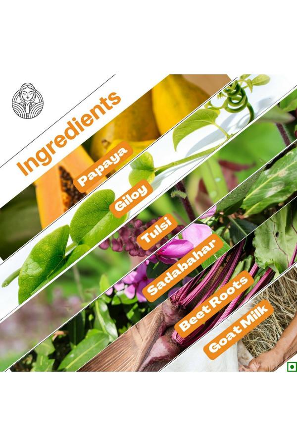 The Old Natural Papaya Leaf Extract Tablets for Blood Purification and Platelets 30 Tablets