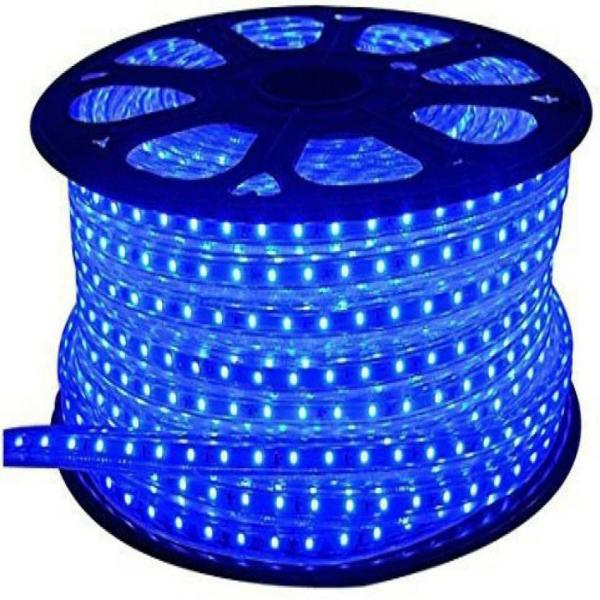 Astern Blue Rice Lights 2400 LED/19.99inch JioMart