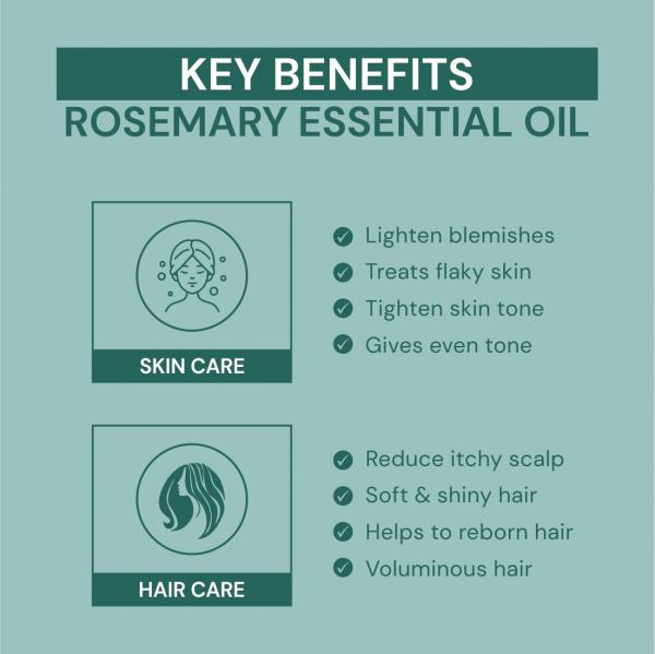 Youngtre Rosemary Essential Oil 100% Pure Natural Hair Oil for Strong  Healthy Hair and Treats Hair Loss Dandruff Control - Hair Loss Control Hair  Fall Treatment Hair Regrowth Hair Oil-10ML - JioMart