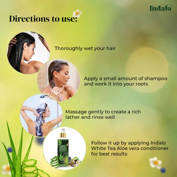 Indalo White Tea Aloevera Shampoo and Conditioner for Oily Hair Reduce  Dandruff & Damage Hair Repair with Hair Treatment Pack for Helps in Hair  Growth, Free from Sulphate & Paraben (Combo) -