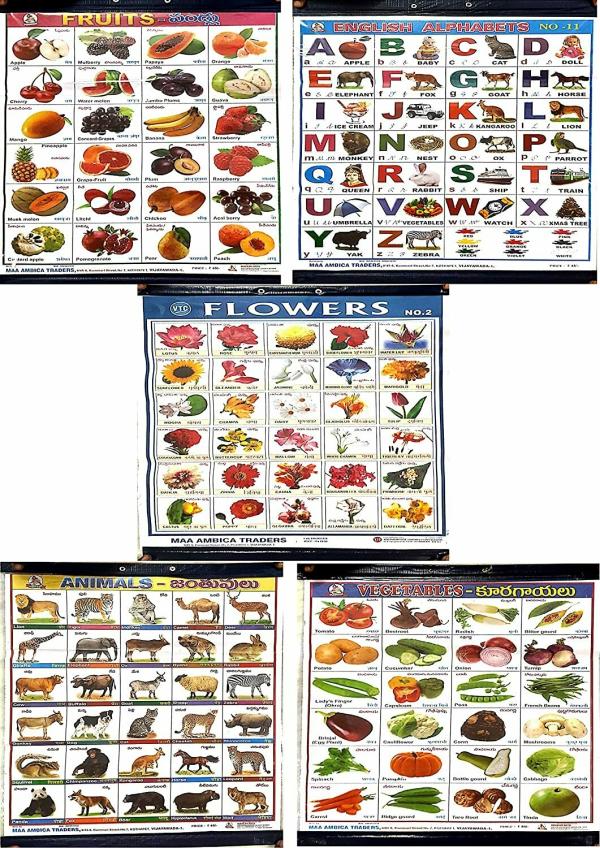 PMW - 5 Charts For Kids - 18 Inch X 24 Inch Wall Hanging Charts - Primary  Education For Kids - Fruits, Alphabets, Vegetables, Flowers, Animals -  JioMart