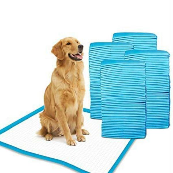 piano Initiative Burger Patch and Marshall Disposable Blue Dog Training Pads - 60 x 90 cm (Pack of  60) - JioMart