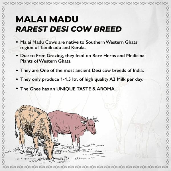 Momsy Premium A2 Cow Ghee Malai Madu Cow Rarest Breed Free Grazing Cows GMO FREE (1Lit