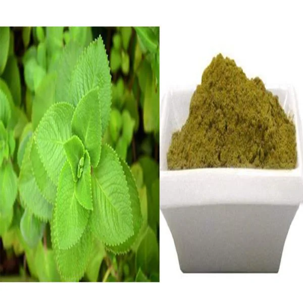 Vi Vethan Karpuravalli (AJWAIN LEAF) Powder 100gm JioMart