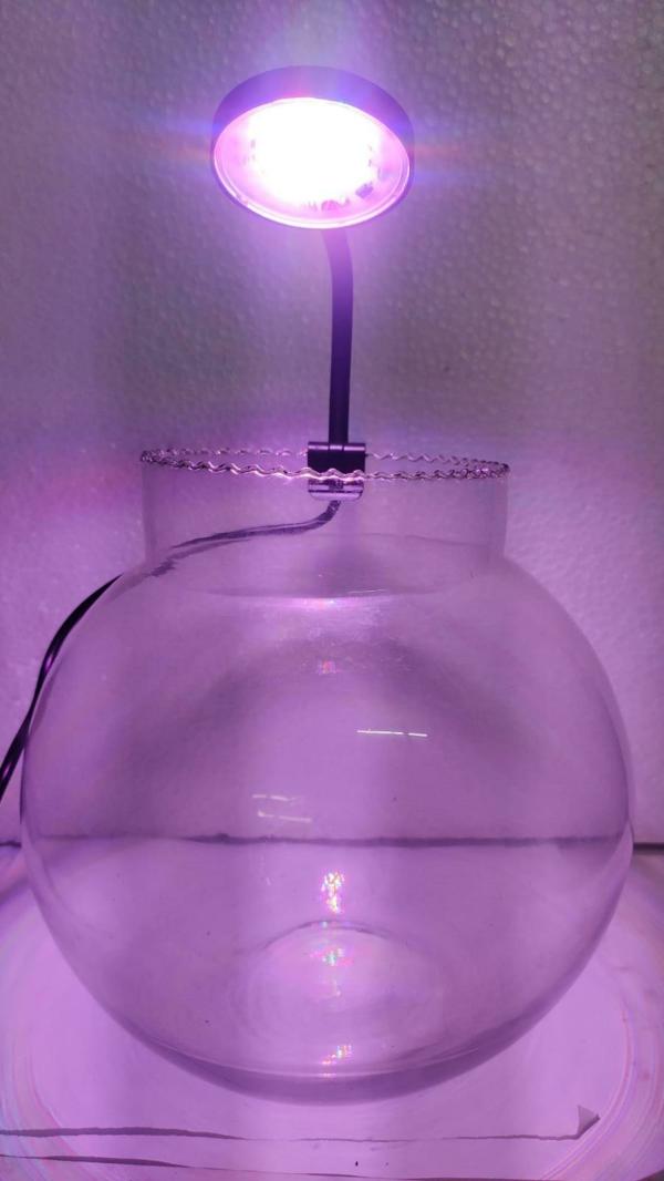 Mr Traders Black LED Aquarium Light (Freshwater Fish Tank) JioMart