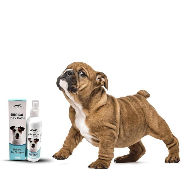 Pets Empire New Waterless Dog Shampoo All Natural Dry Shampoo 250 ml