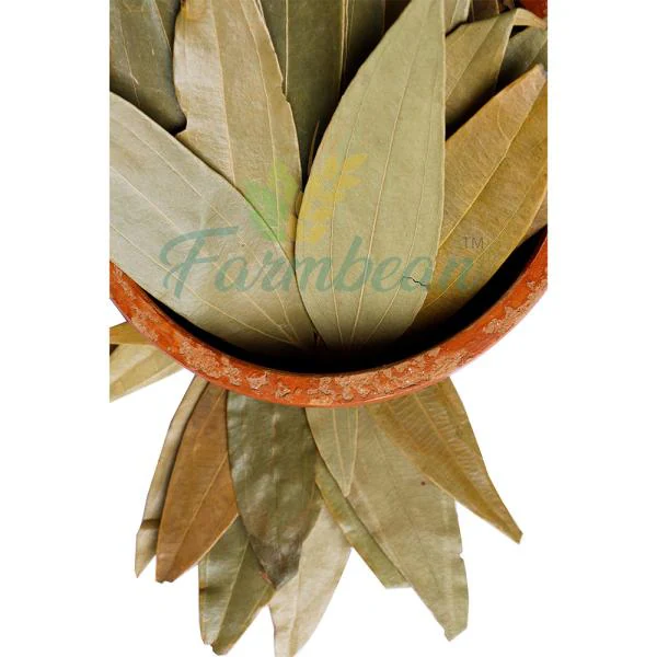Farmbean Natural Bayleaf Leaves Dried 400Gms/ Tej Patta Dried bay leaves Indian Spices Whole 400