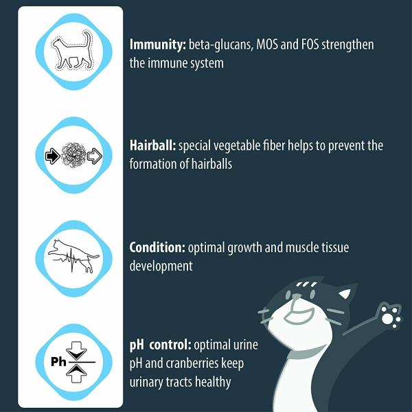 Eminent Kitten 2 kg FullValue Food for Kittens, Pregnant and