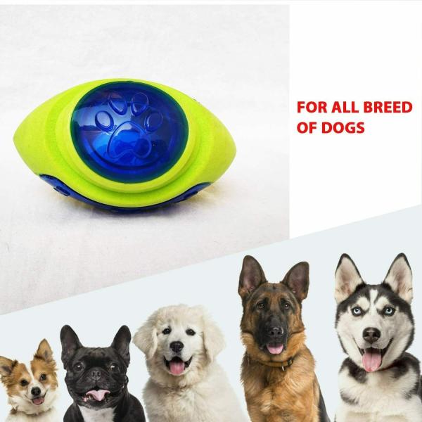 Woofy Dog Rugby Ball Toy with LED Light and Squeaky Sound Interactive