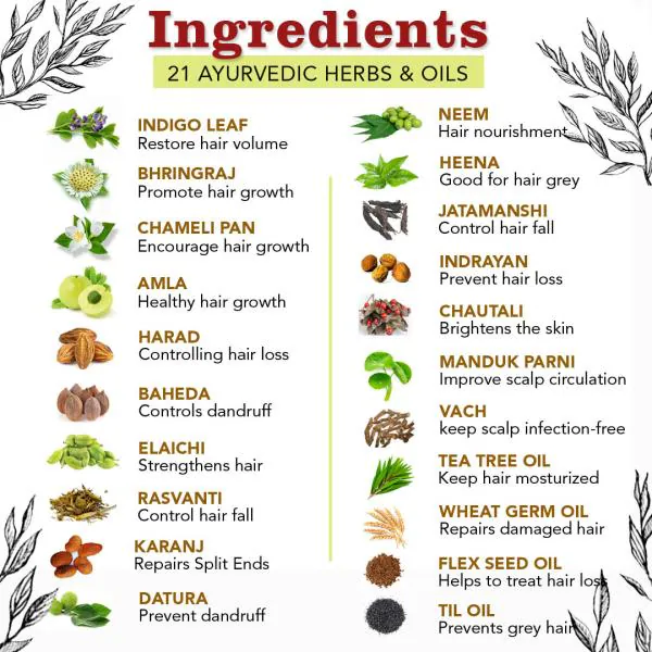 Top 100 image herbs for hair growth 