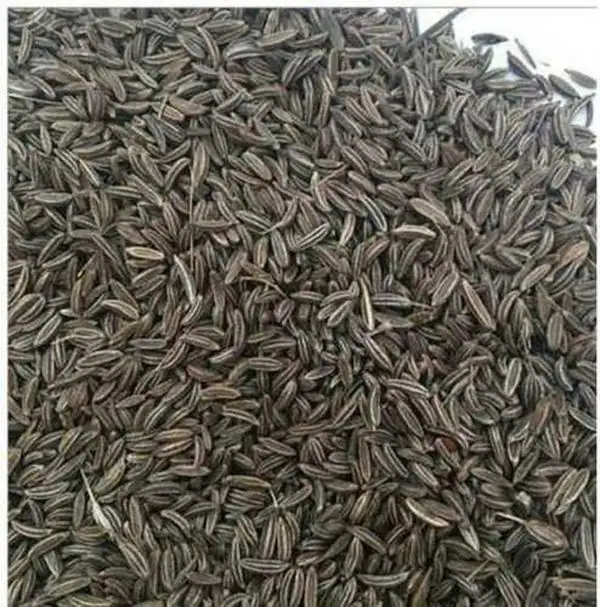 Eatyumm Black Cumin / Shah Jeera / Caraway Seeds , 50 Gram JioMart