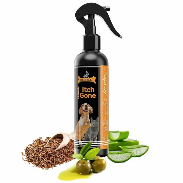 Will Olive Oil Help My Dogs Dry Skin