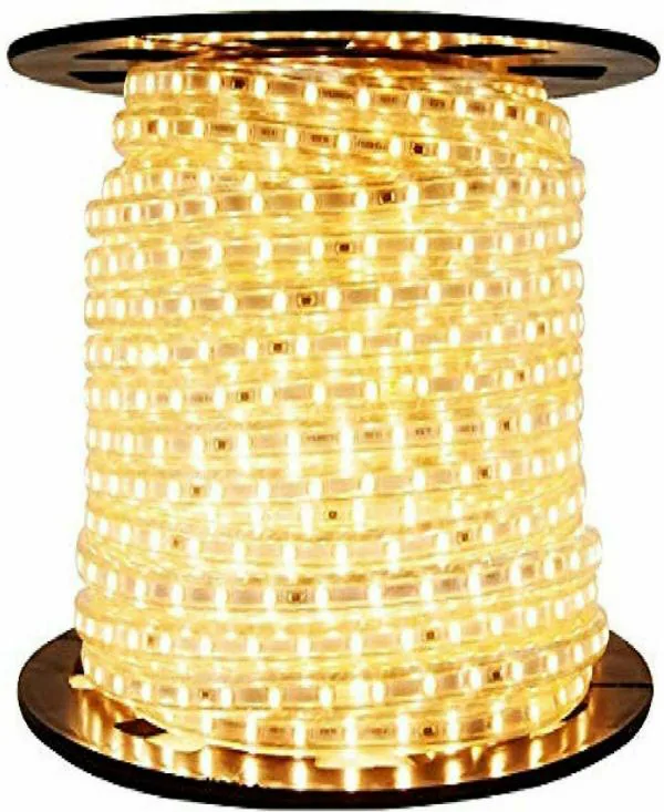 Astern Yellow Rice Lights 100inch JioMart