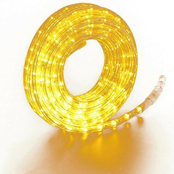 Astern Yellow Rice Lights 100inch JioMart