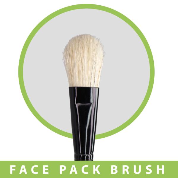 MIDAZZLE PREMIUM WOODEN FACE PACK BRUSH JioMart