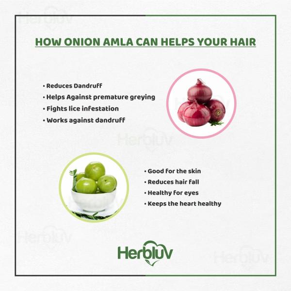 Herbluv Onion and Amla Hair Oil Pack Of 5 JioMart