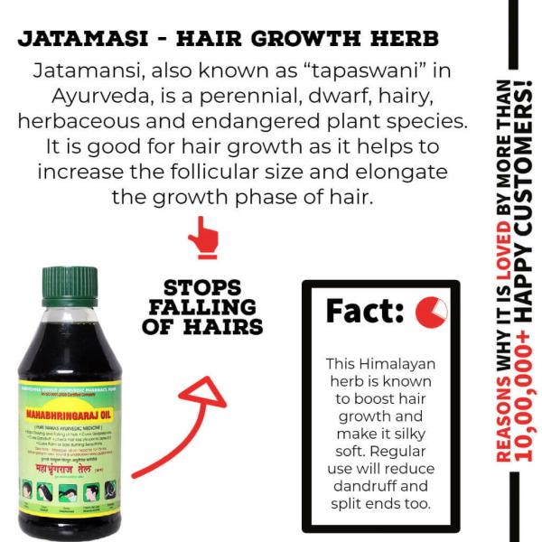 Mahabhringaraj Oil | Pure Maka's Ayurvedic Medicine | Stops Greying and Hair  Fall| Cures Dandruff 200ml Pack of 2 - JioMart