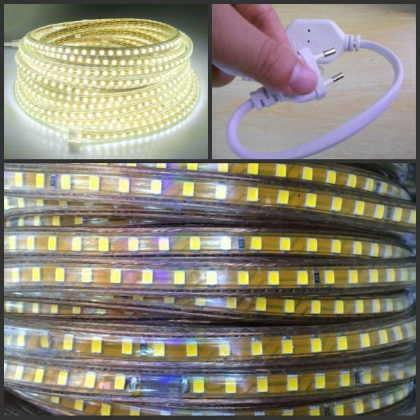 Astern Yellow Rice Lights 1200 LED/10.16m JioMart