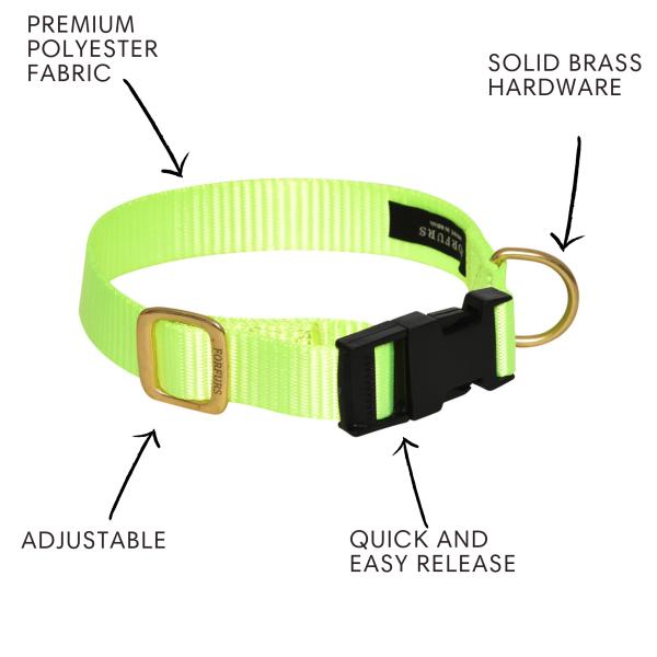 FORFURS Dog Classic Snap Collar for Small Dogs (Lime Green) JioMart
