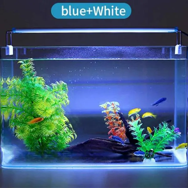 Aquarium LED Light for Planted Fish Tank (Blue White Suits 1.5 2 feet