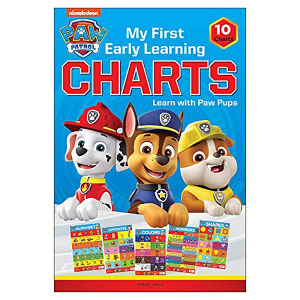 Paw Patrol Shapes And Colors Educational Cards Nickelodeon New 