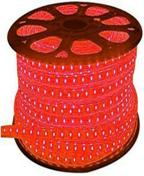 Astern Red Rice Lights 800 LED/9.98inch JioMart