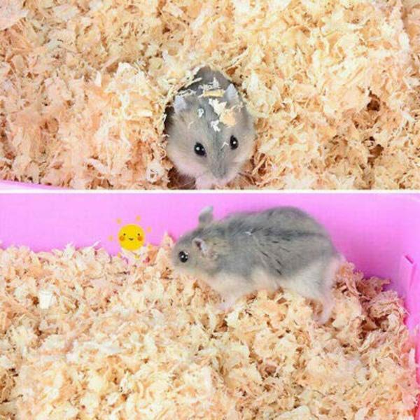 Taiyo Pluss Discovery Natural Wood Shaving Bedding For Hamster Mice
