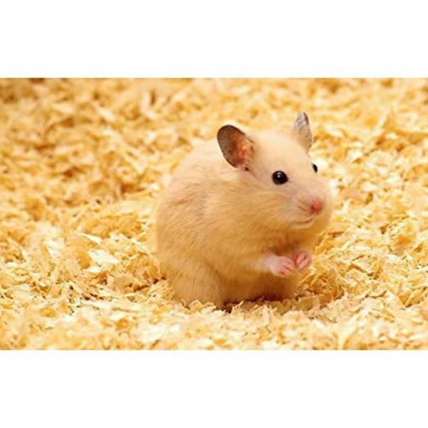 Taiyo Pluss Discovery Natural Wood Shaving Bedding For Hamster Mice
