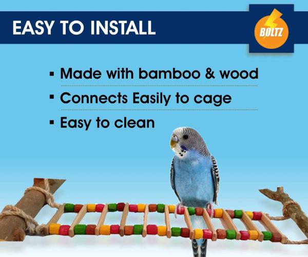 Boltz Bird Ladder And Hanging Chewable Wooden Toys For Budgies