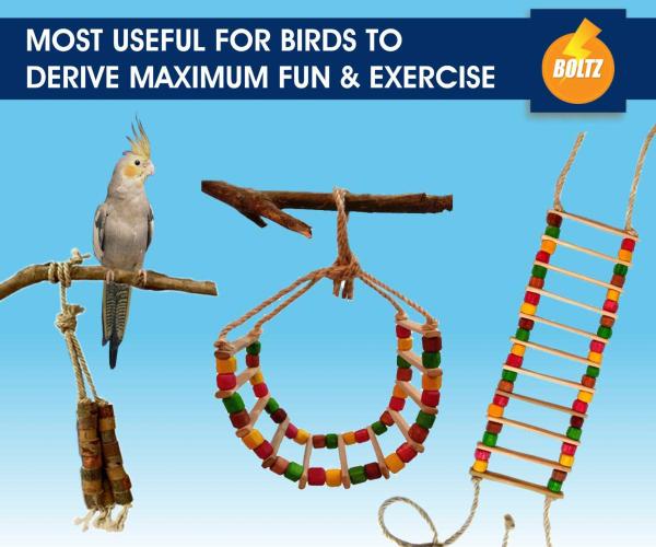 Boltz Bird Ladder And Hanging Chewable Wooden Toys For Budgies