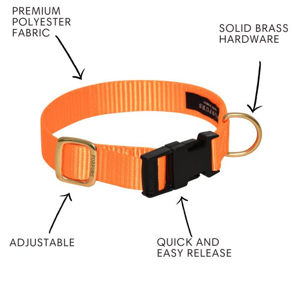 FORFURS Dog Classic Snap Collar for Small Dogs (Neon Orange) JioMart