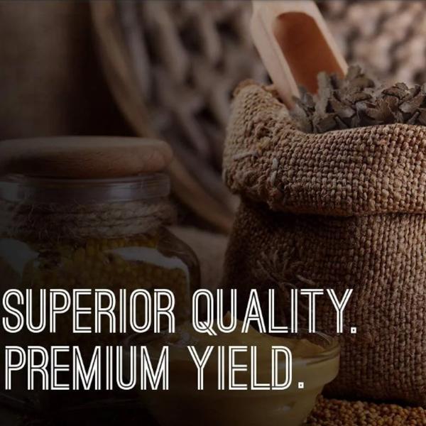 GARDECO Mustard Oil Cake Organic Fertilizer for Home Garden Potting