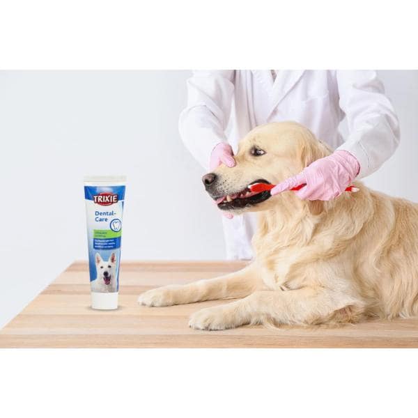 Can You Use Mint Toothpaste On Dogs