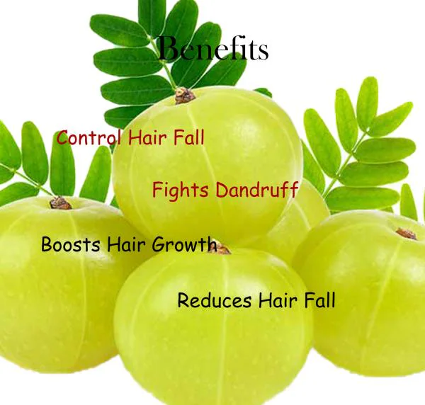 AR Nutrition Amla Reetha Shikakai Shampoo for Helps In Hair Growth, Control  Hairfall & Dandruff Pack Of 2 - 210ml - JioMart