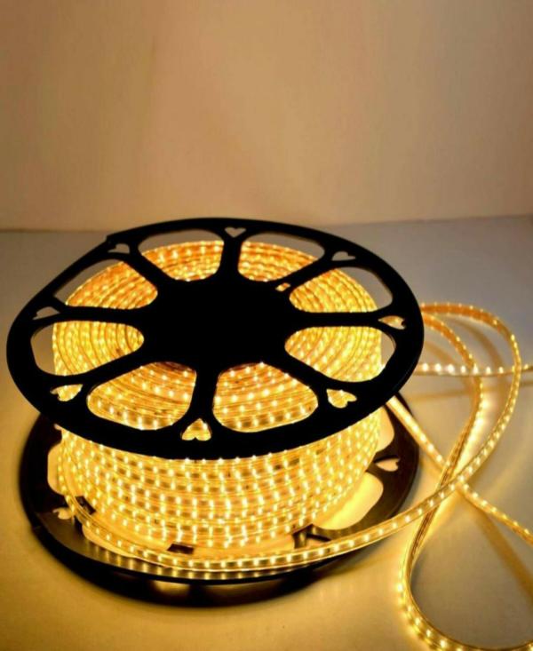 Astern Yellow Rice Lights 300 LED/5inch JioMart