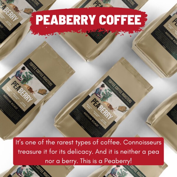 Toffee Coffee Roasters Peaberry Coffee Whole Beans JioMart