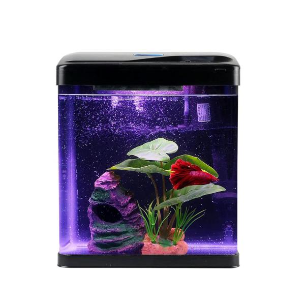 Buraq Blue Moulded Curve Glass Aquarium Fish Tank 235 with Multi Color