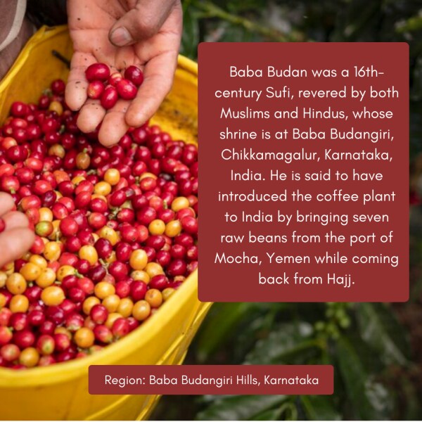 Toffee Coffee Roasters Baba Budangiri Coffee Pour Over JioMart