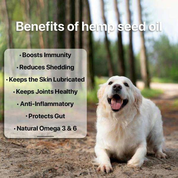 Ananta Hemp Works Hemp Seed Oil I Specially for Dog I Cat I Relax Your