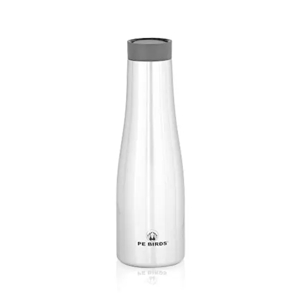 PE BIRDS Superior Heat Retention Silver Stainless Steel Bottle JioMart