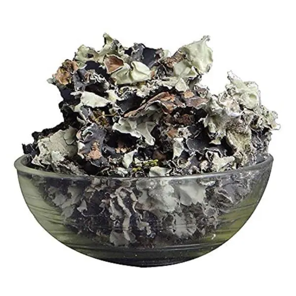 Pure Pik Organic Stone Flower Spice, Dagad Phool, Kalpasi, Patthar Ke