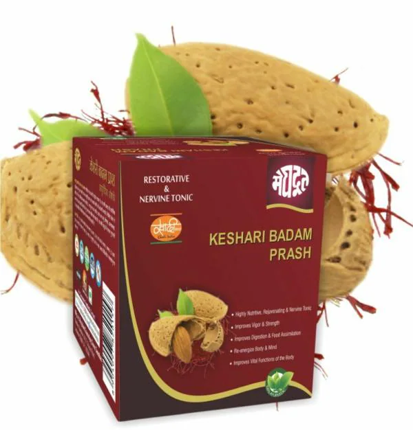 MEGHDOOT Keshari Badam Prash 500 GM JioMart