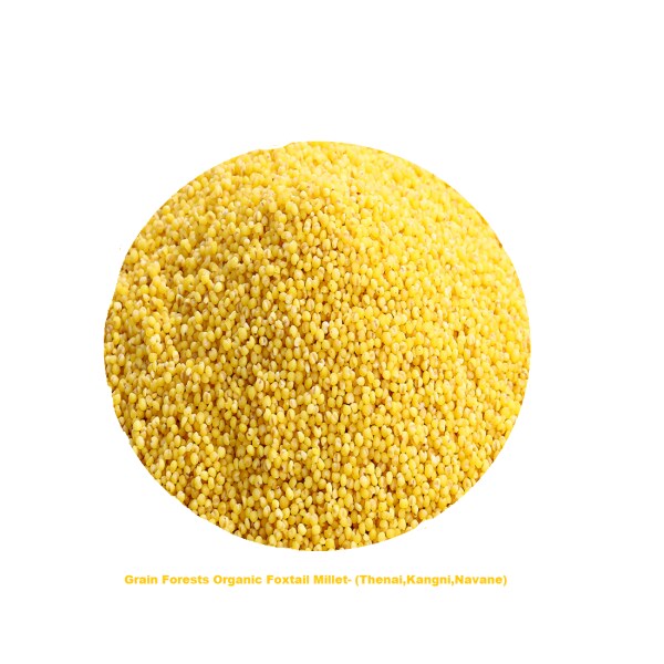 Grain Forests Foxtail Millet 1kg (Thinai Millet) Foxtail Millet