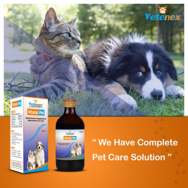 VETENEX Vitaful Pet - Multivitamin Syrup With Biotin For Dogs, Puppy & Cats  - 100 ML - JioMart