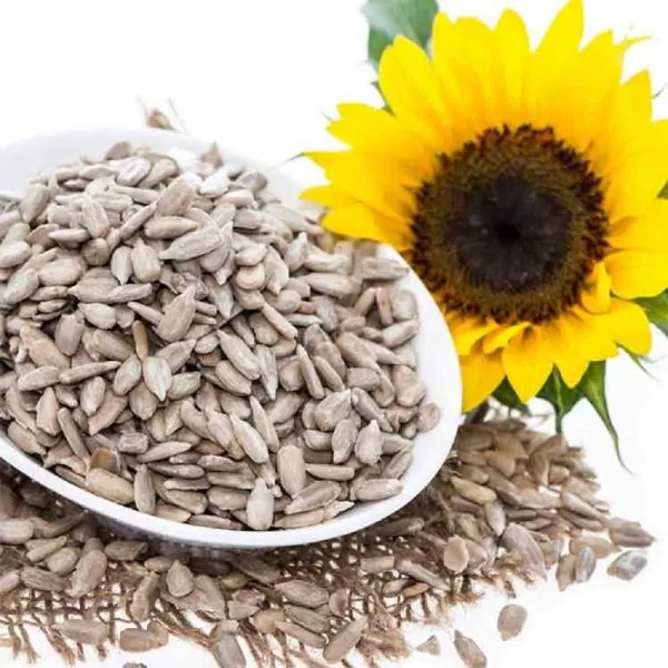 Nutsmojo Premium Raw Sunflower Seeds Rich in Vitamin E, Magnesium