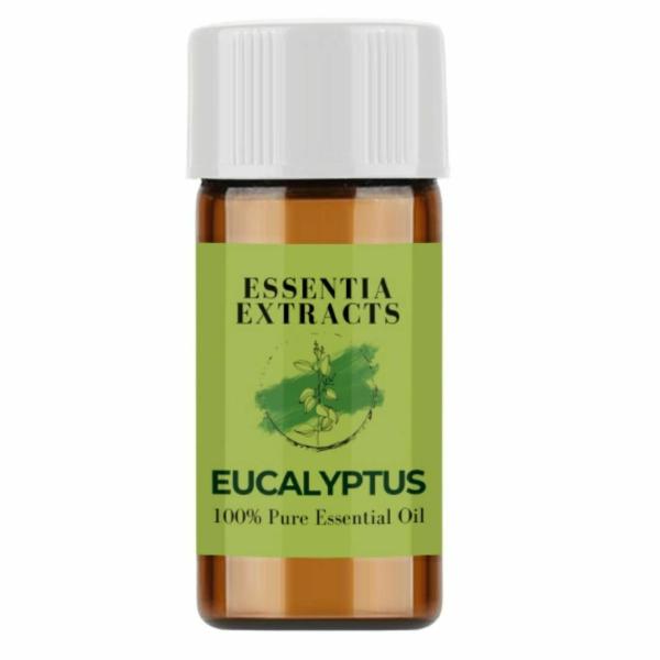 Essentia Extracts Eucalyptus Essential Oil, 3ML JioMart