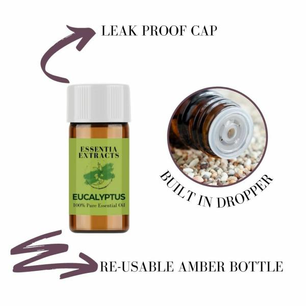 Essentia Extracts Eucalyptus Essential Oil, 3ML JioMart