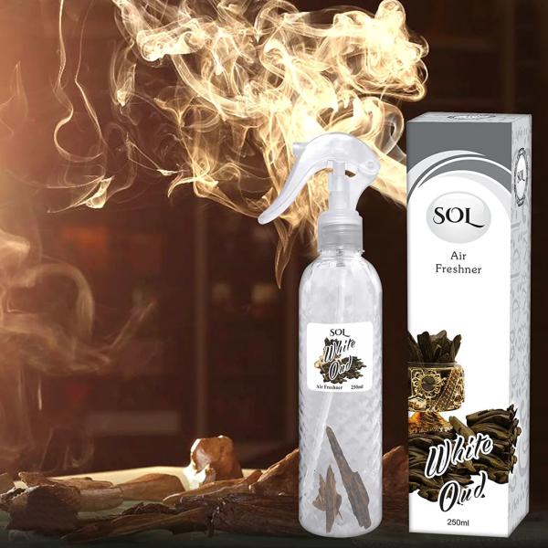 RANKSON Beat The Heat SOL White Oud Air Freshner Spray 250 ML JioMart
