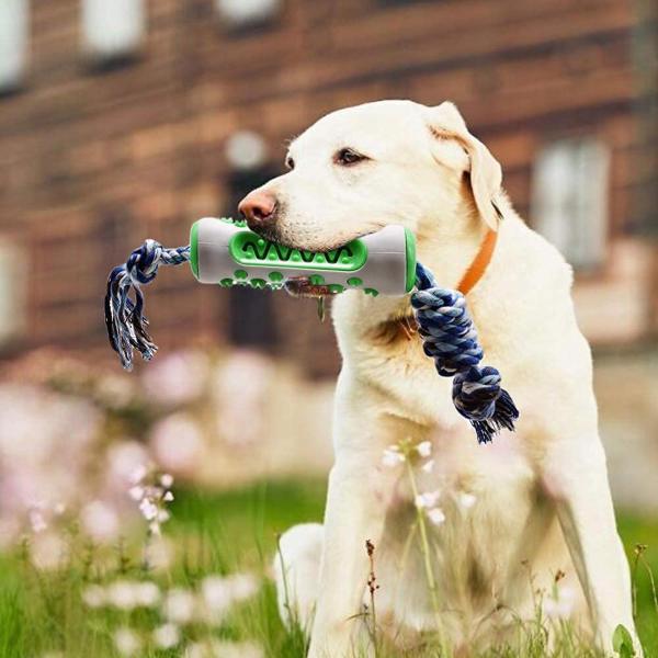 Pets Empire Dog Puppy Chewing Toothbrush Toy With Rope JioMart