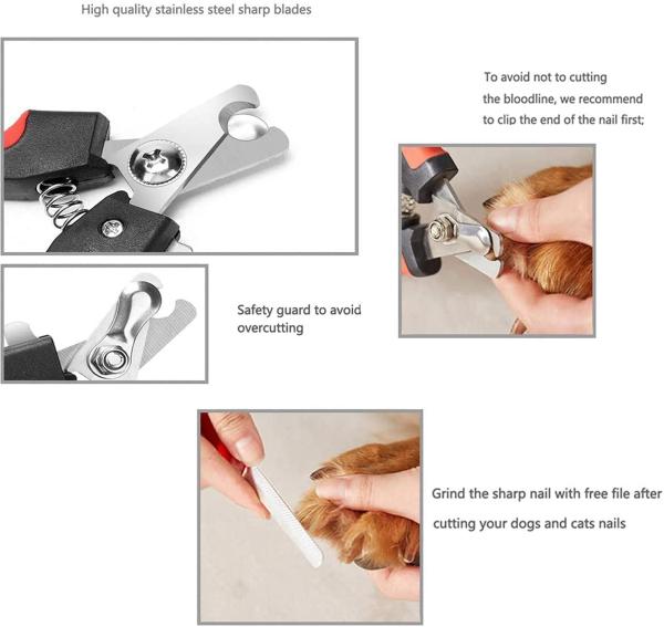 Pets Empire Pet Nail Clippers Cutter File Animal Claws Scissor Cut Set Kit  ,S - JioMart